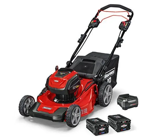 Snapper 1687914
