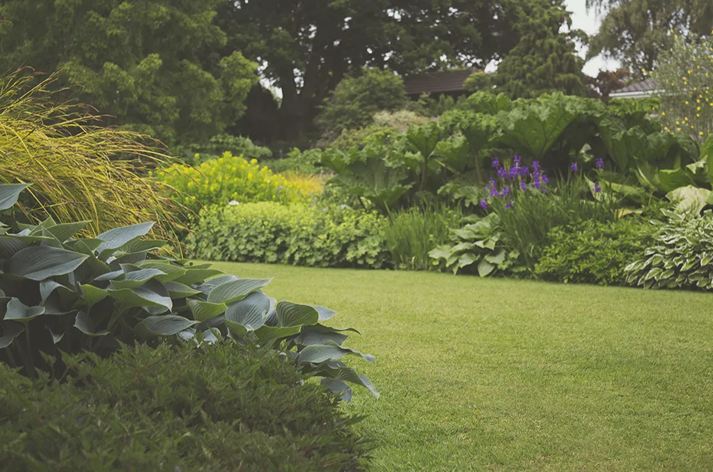 The Ultimate Guide to Maintaining a Healthy Garden