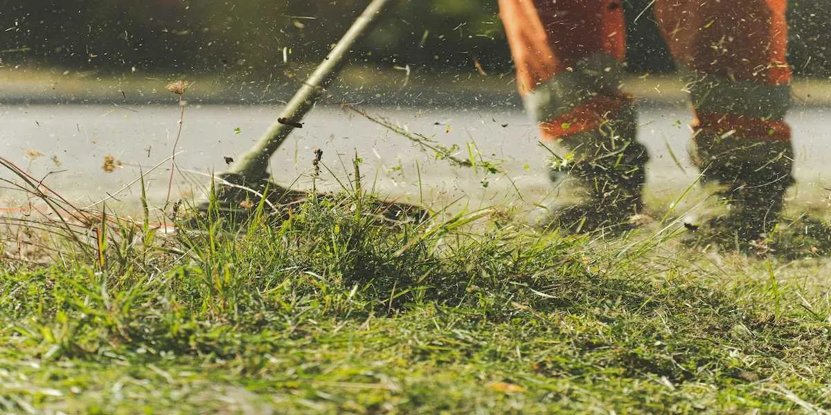 What is a Weed Eater? Tips to Use a Weed Whacker Like a Pro