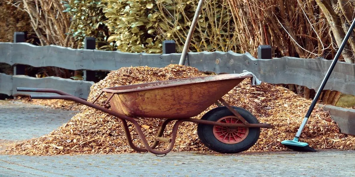 Laying Mulch: How to Succesfully Mulch Your Garden and Other Tips