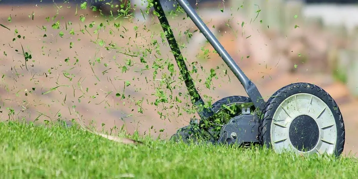 How to Mow a Lawn and Other Useful Lawn Mowing Tips